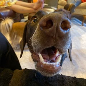 Meet your Posher, Madelyn